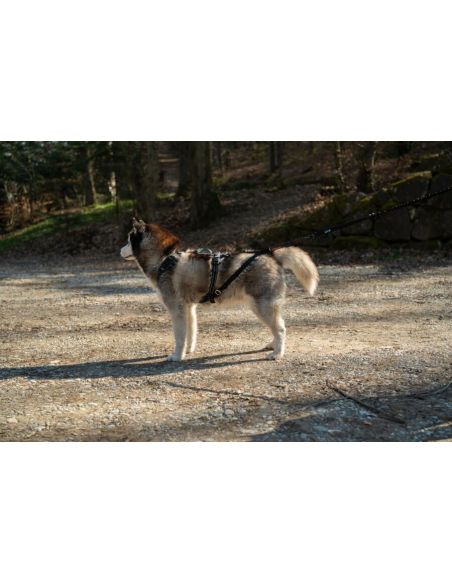 Harnais 'SYMBIOZ' - Cani Gear