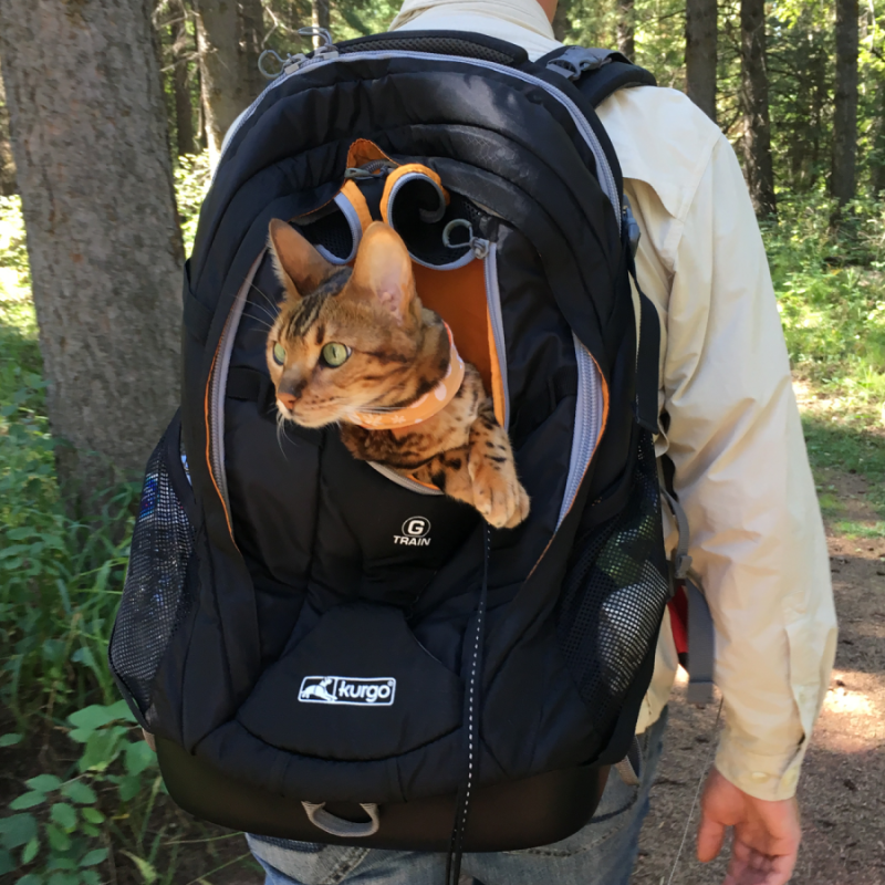 Sac à Dos 'GTRAIN' - Kurgo