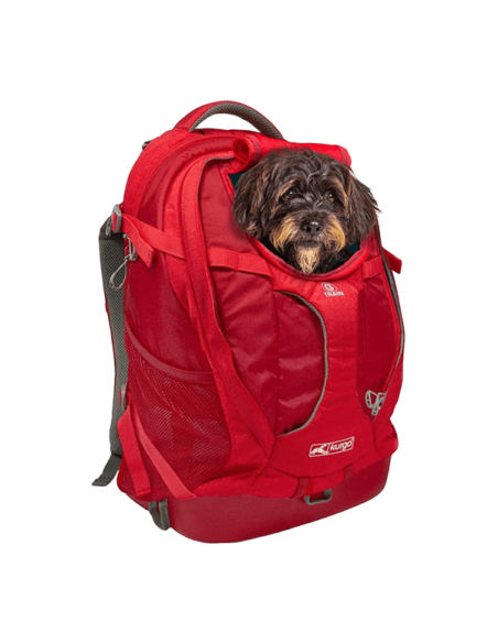 Sac à Dos 'GTRAIN' - Kurgo