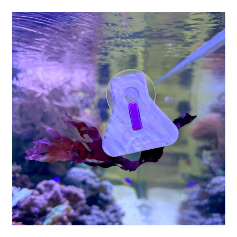 Pince à Algues 'Food Clips' - Aquarium Systems