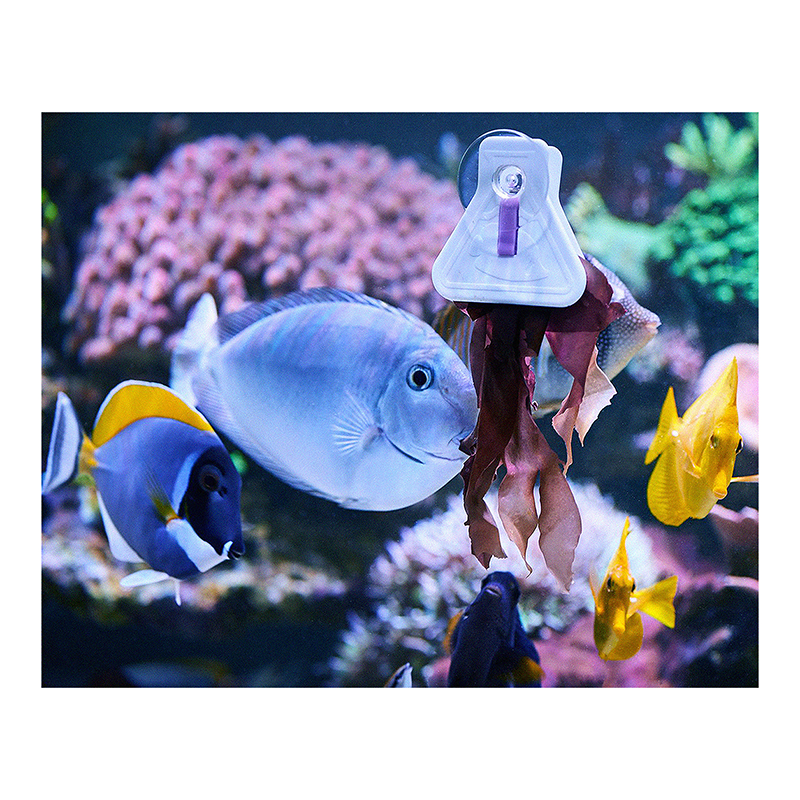 Pince à Algues 'Food Clips' - Aquarium Systems
