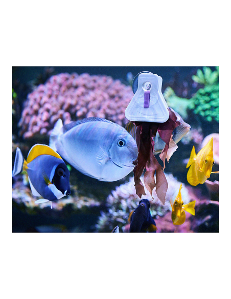Pince à Algues 'Food Clips' - Aquarium Systems