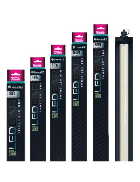 Éclairage LED pilotable Lumenize Jungle Dawn Led Bar - Arcadia