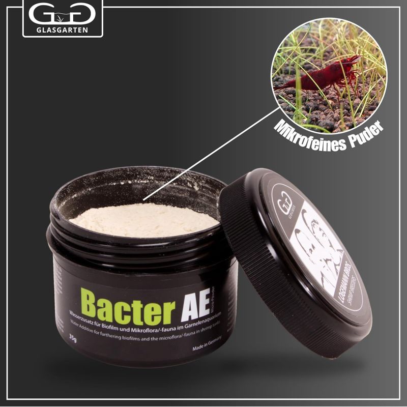 Poudre micro bactérienne pour crevettes | Bacter AE - Glas Garten
