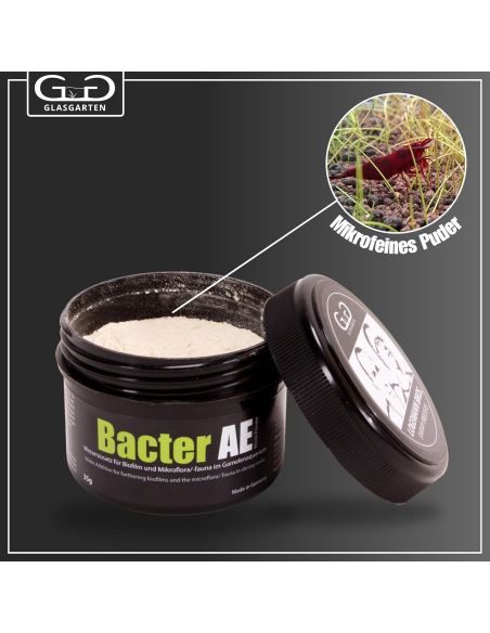 Poudre micro bactérienne pour crevettes | Bacter AE - Glas Garten