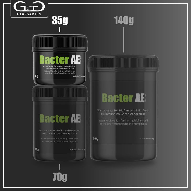Poudre micro bactérienne pour crevettes | Bacter AE - Glas Garten