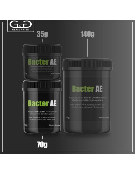 Poudre micro bactérienne pour crevettes | Bacter AE - Glas Garten