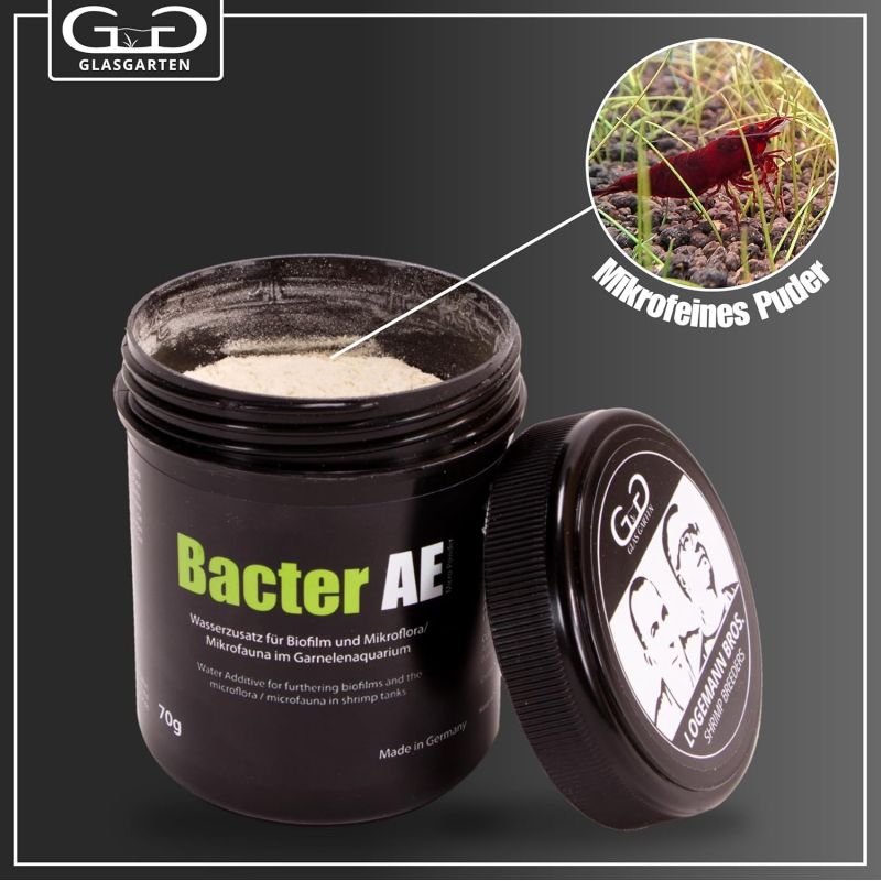 Poudre micro bactérienne pour crevettes | Bacter AE - Glas Garten