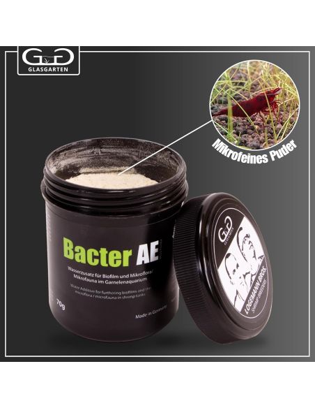 Poudre micro bactérienne pour crevettes | Bacter AE - Glas Garten