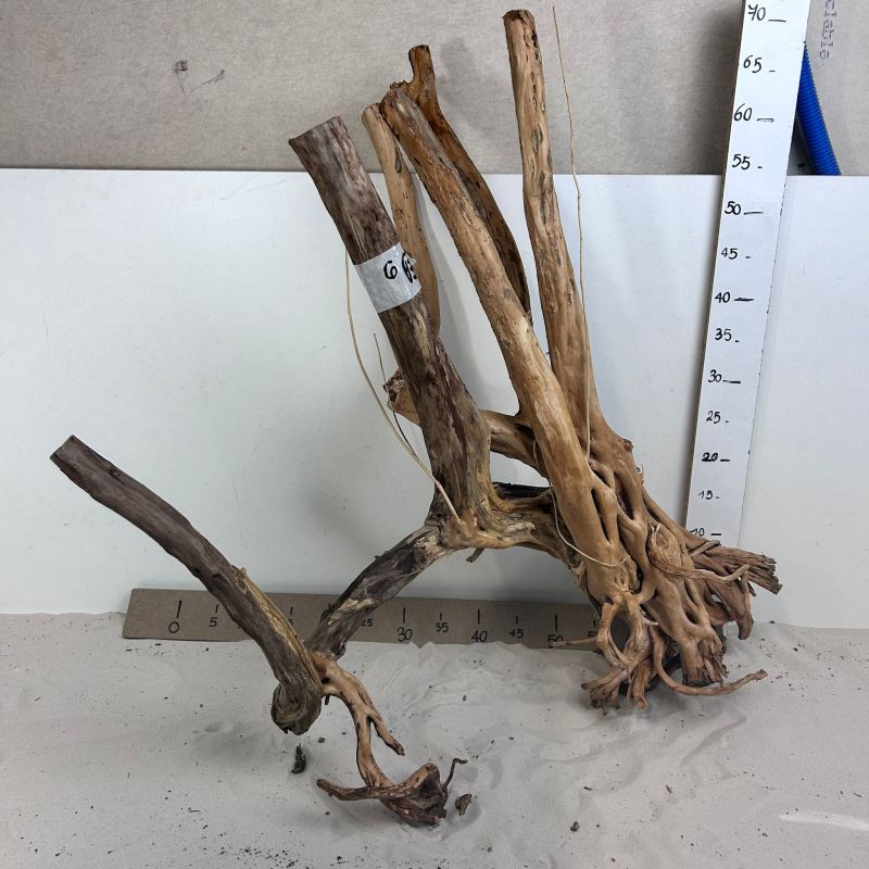 copie de StumpWood - 9