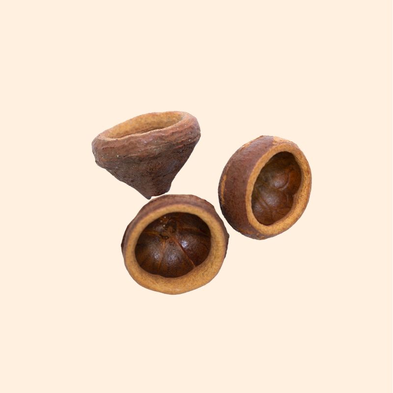 Gousse de Chapeuzinho 5/10 cm