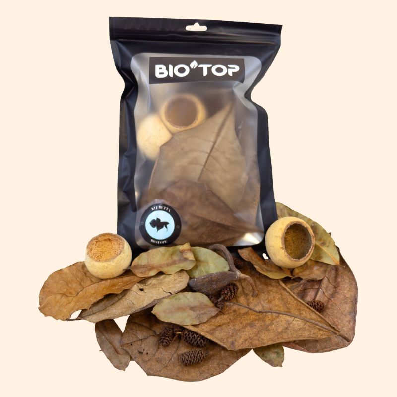Kit Betta - BIO'TOP