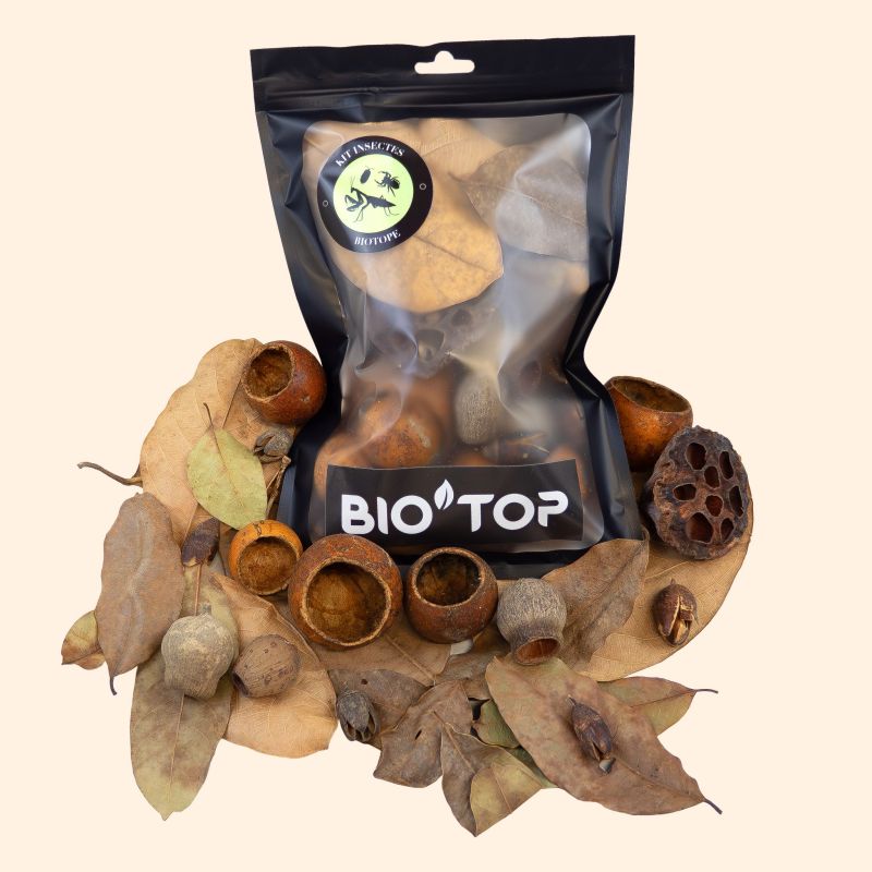 Kit Insecte - BIO'TOP