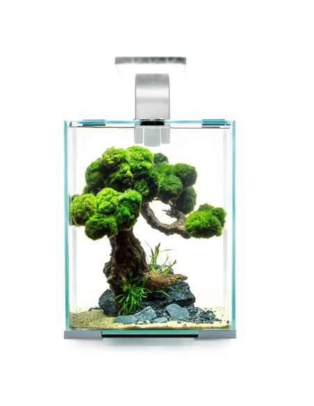Aquarium Aquael Shrimp Set 10 Blanc