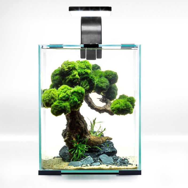 Aquarium Aquael Shrimp Set 10 Noir