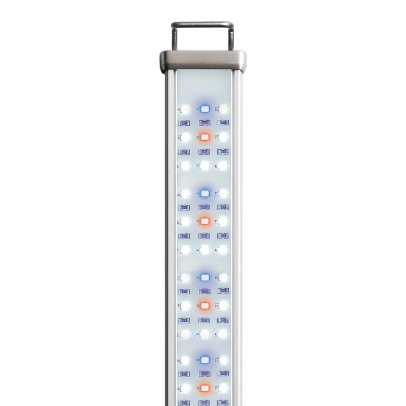 Lampe Led Proten New Dawn – Reptile Systems