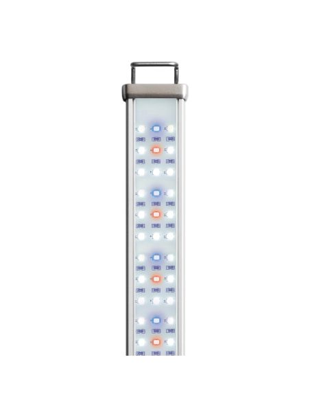 Lampe Led Proten New Dawn – Reptile Systems