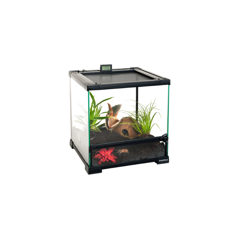 Mini Terrarium en Verre 30X30X32cm - Habistat