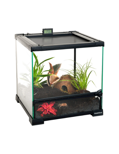 Mini Terrarium en Verre 30X30X32cm - Habistat