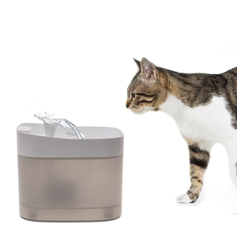 Mangeoire Automatique Comfy Catspring