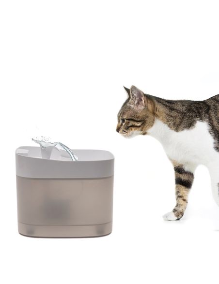 Mangeoire Automatique Comfy Catspring