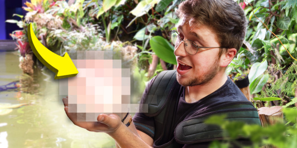 Choisir sa population ?